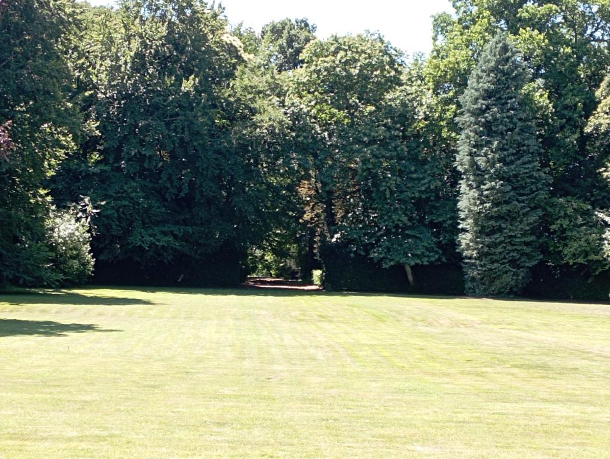 Chateau Du Bois-Riou Quévert Eksteriør bilde